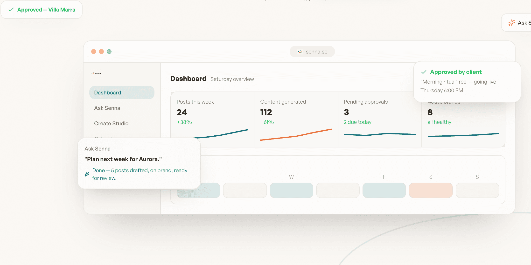Senna product interface